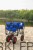 Wózek transportowy DMS BW-04